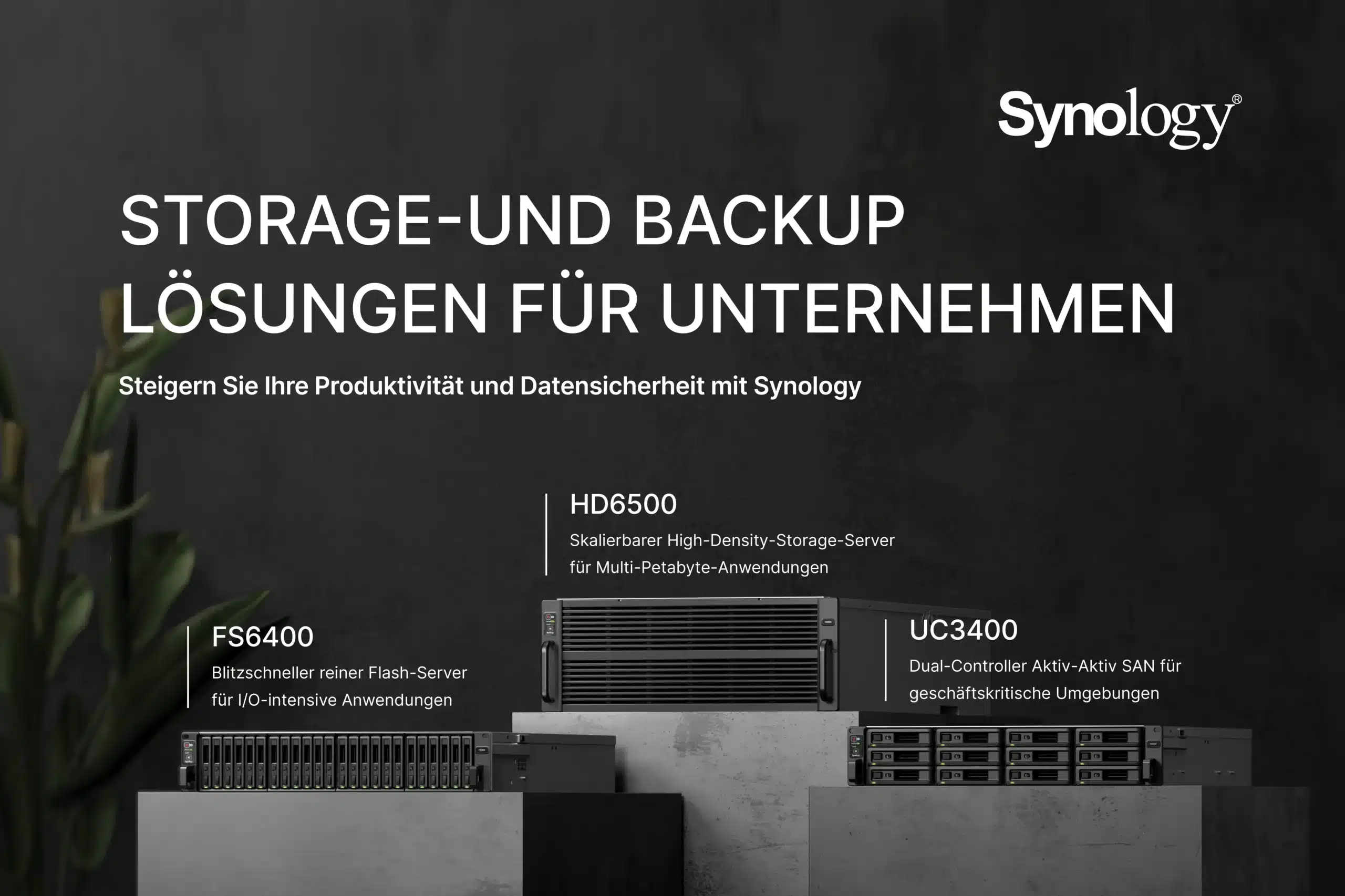 Storage und Backup-Lösungen